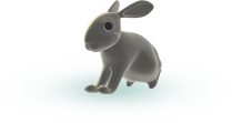 rabbit